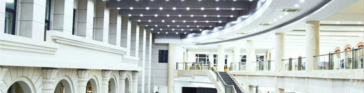 Banner 1